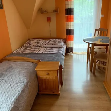 Pokoje U Bodzia 1 *