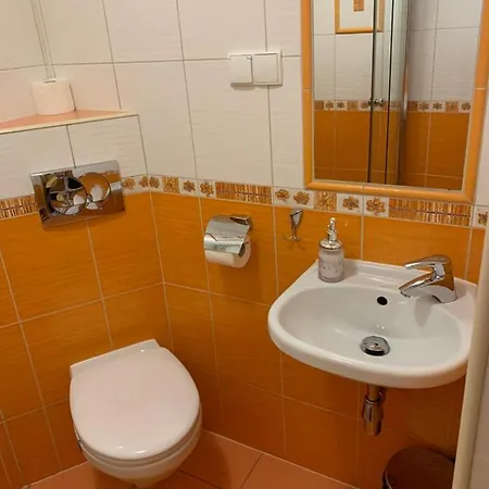 Pokoje U Bodzia 1 *